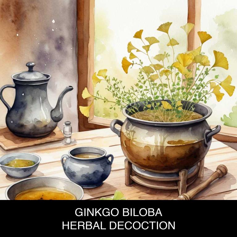 ginkgo biloba herbal decoctions for periodontal-disease