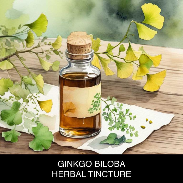 ginkgo biloba herbal tinctures for nausea