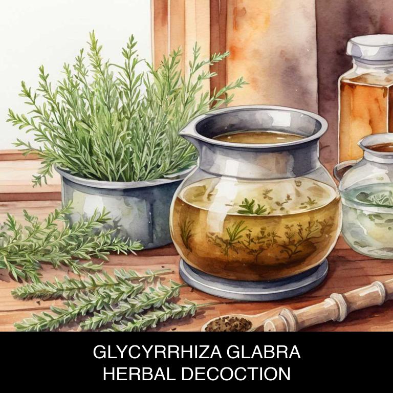 glycyrrhiza glabra herbal decoctions for bloating