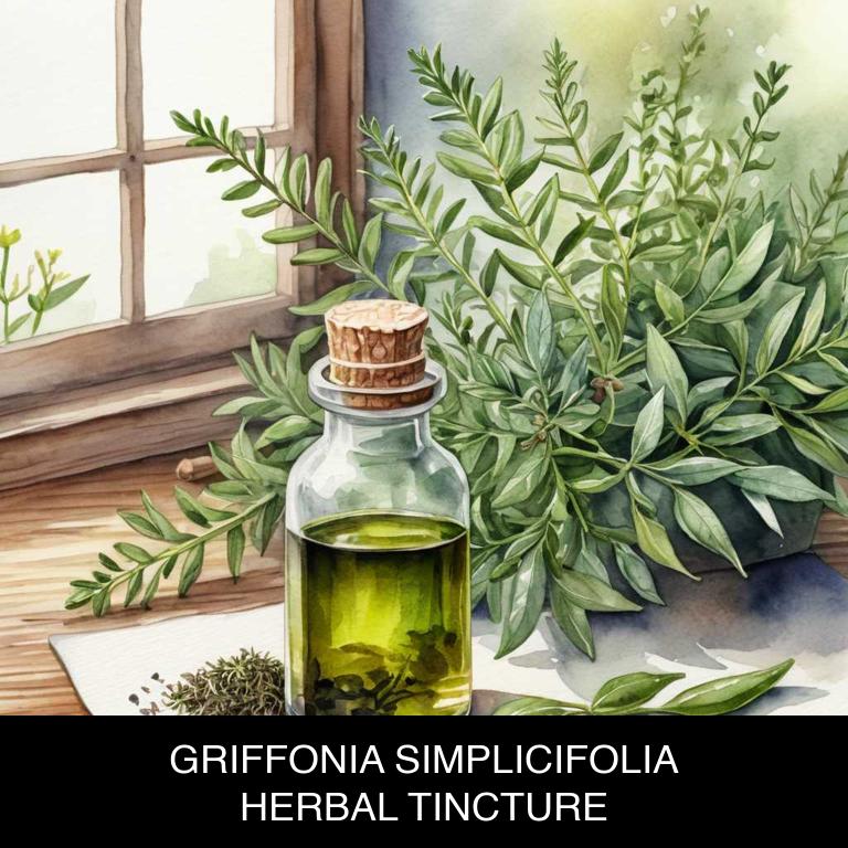 griffonia simplicifolia herbal tinctures for asthma