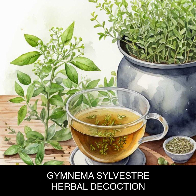 gymnema sylvestre herbal decoctions for hypothyroidism