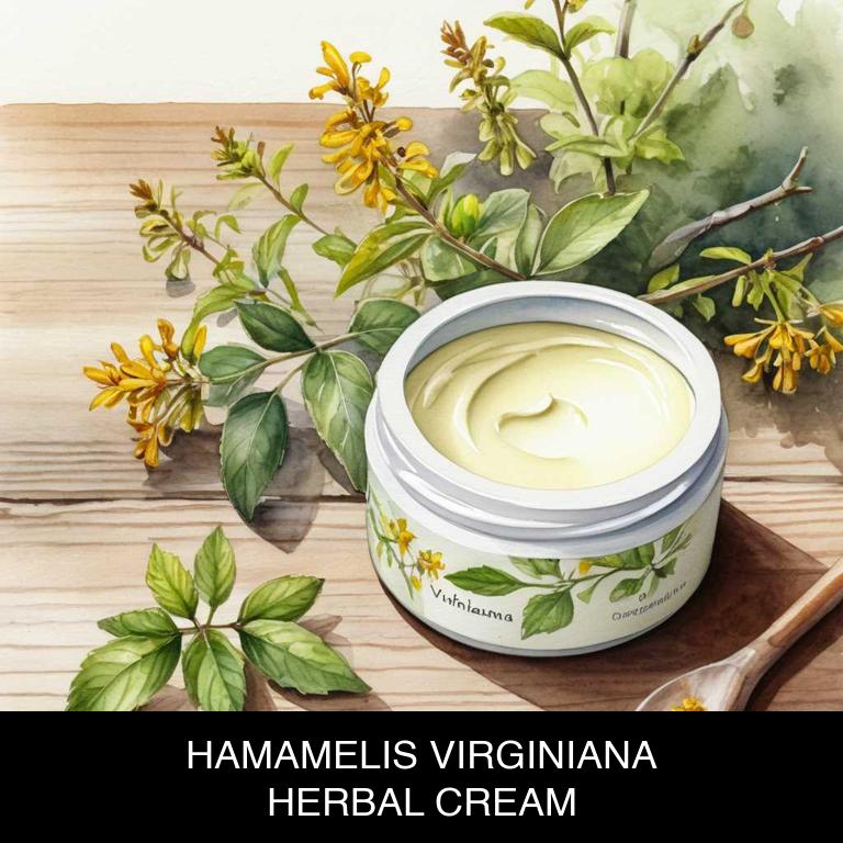 hamamelis virginiana herbal creams for varicose-veins