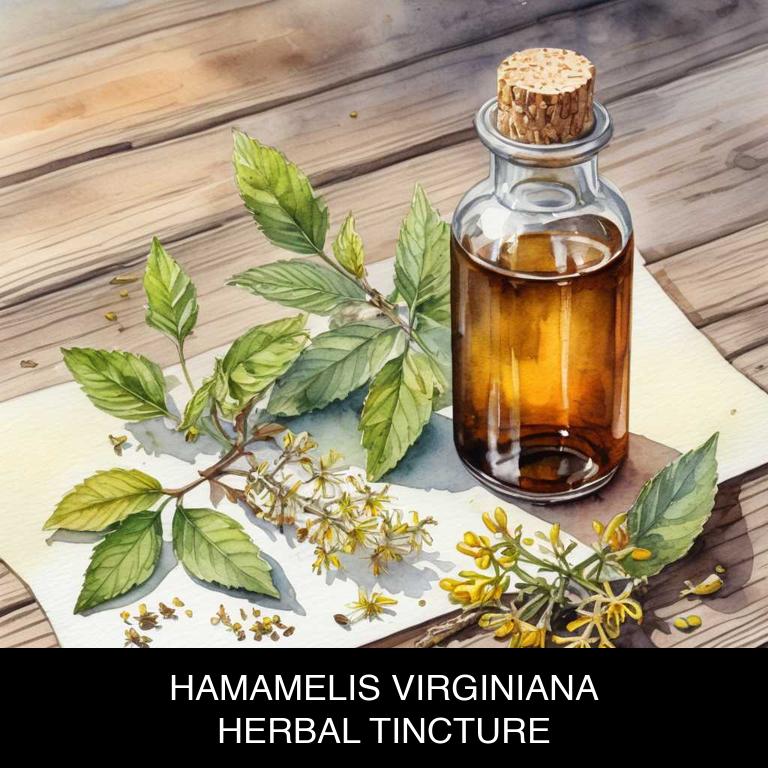 hamamelis virginiana herbal tinctures for ingrown-hair