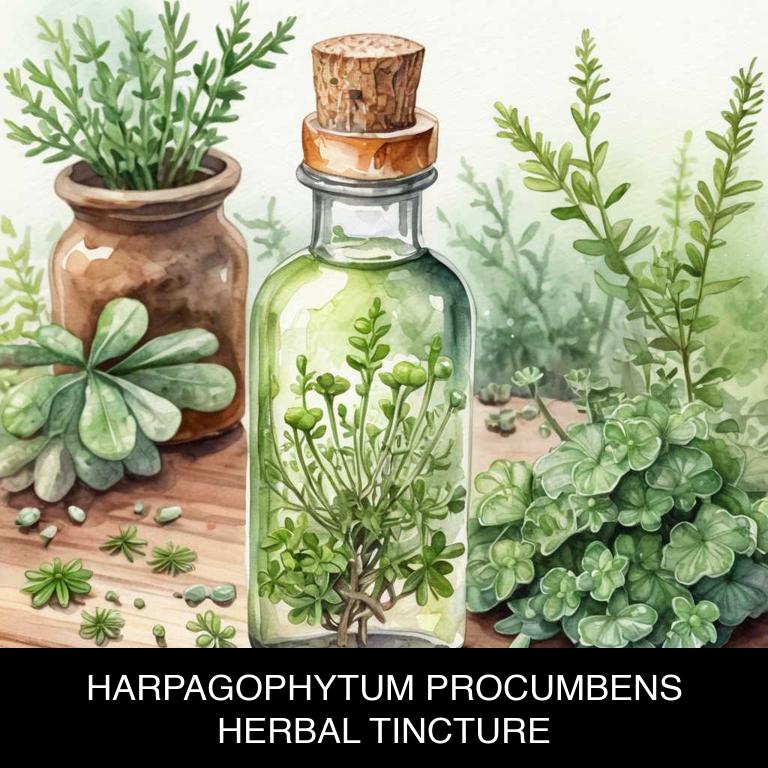 harpagophytum procumbens herbal tinctures for neuritis