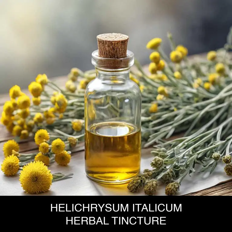 helichrysum italicum herbal tinctures for foot-pain