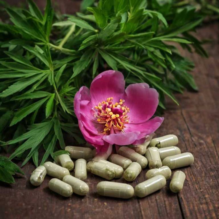 herbal capsules for acute-bronchitis Paeonia officinalis