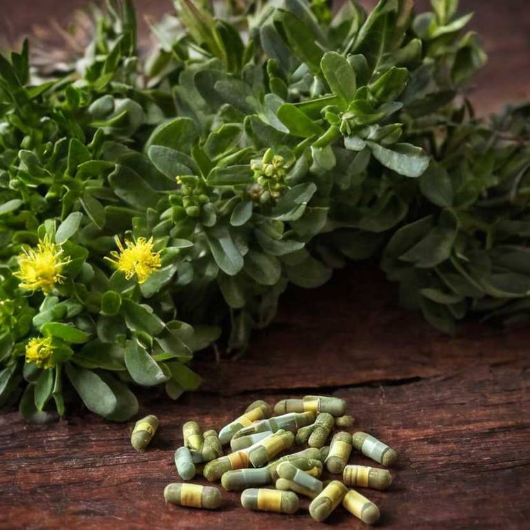 herbal capsules for adrenal-fatigue Rhodiola rosea