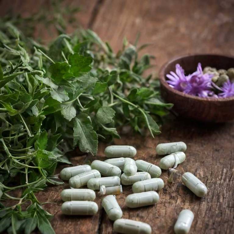 herbal capsules for adrenal-fatigue Withania somnifera