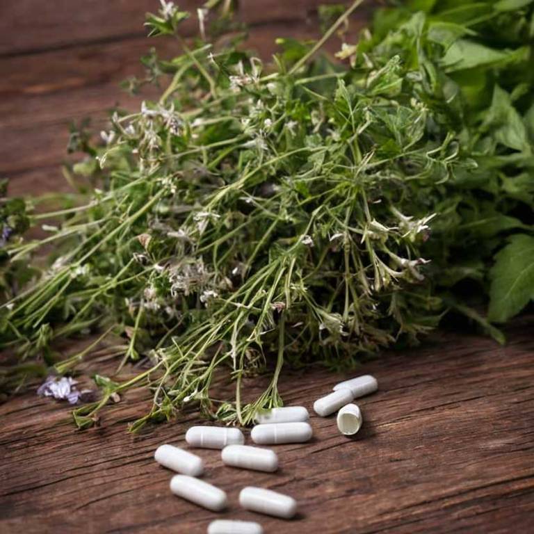 herbal capsules for angina Valeriana officinalis