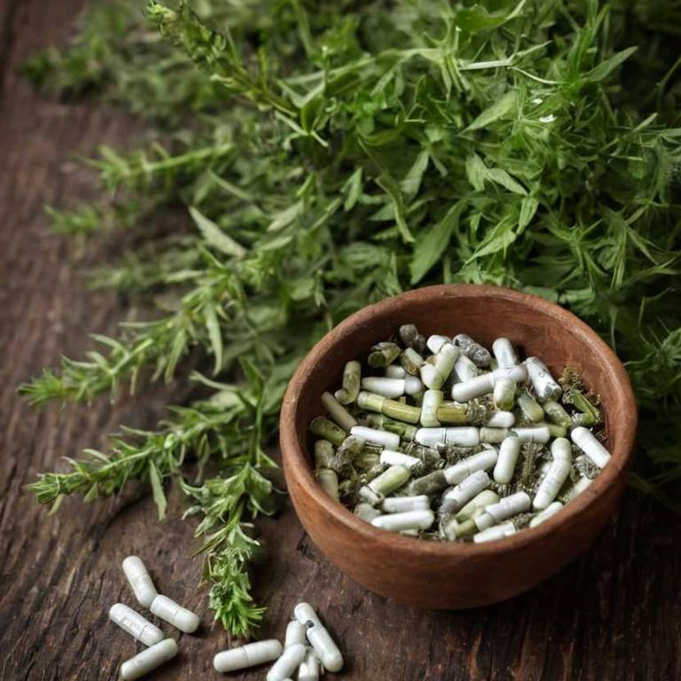 herbal capsules for back-pain Artemisia absinthium