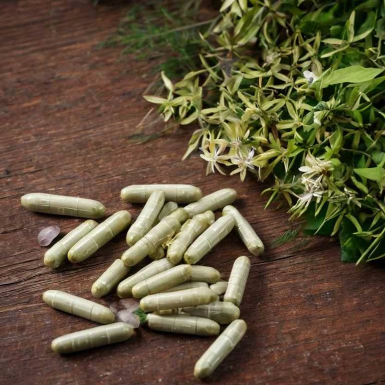 herbal capsules for bad-breath overview