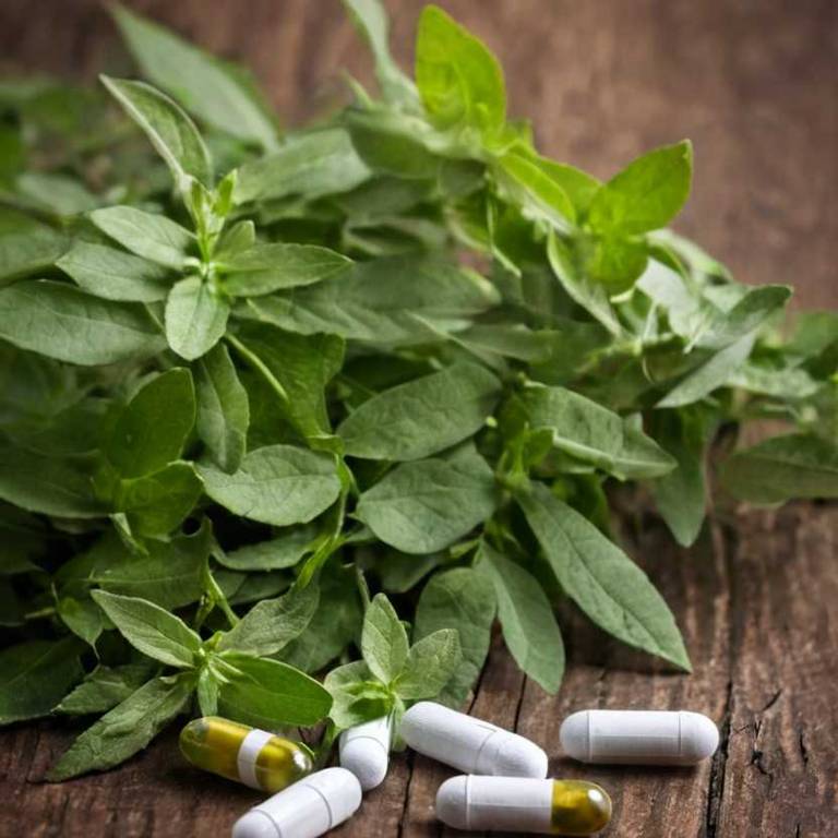 herbal capsules for bad-taste overview