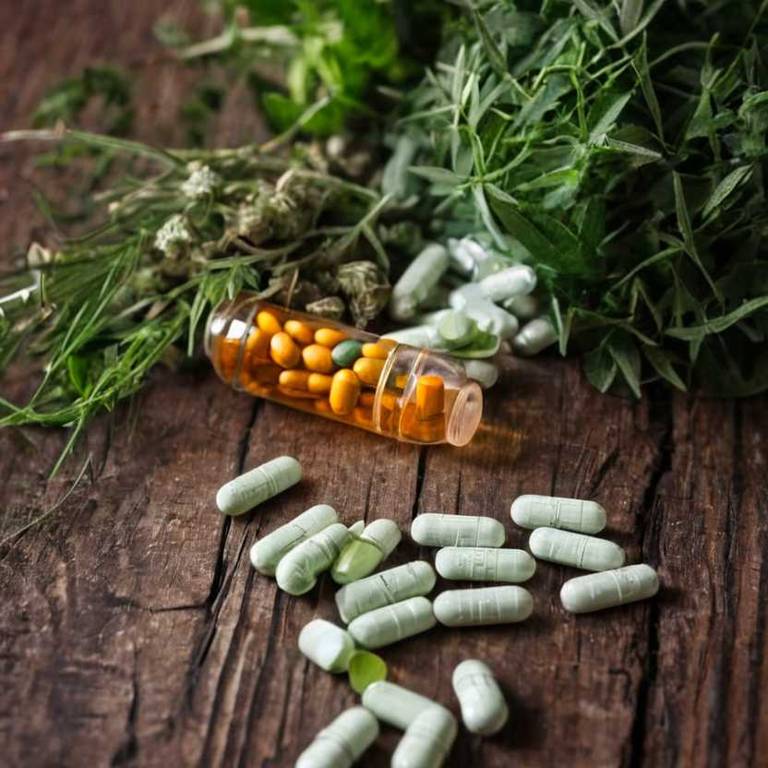 herbal capsules for bladder-infection overview