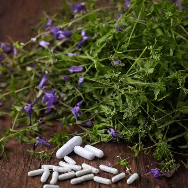 herbal capsules for body-odor overview