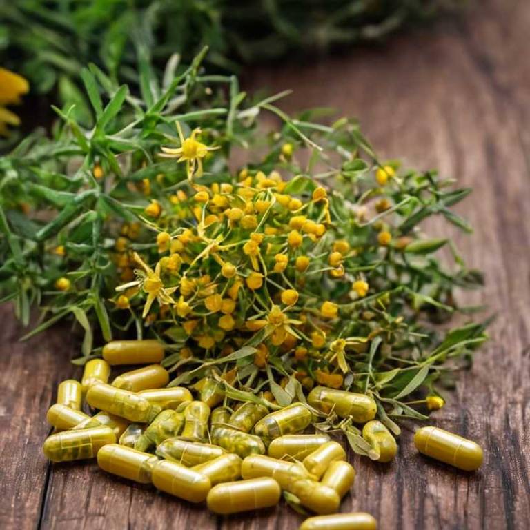 herbal capsules for brain-fog Hypericum perforatum