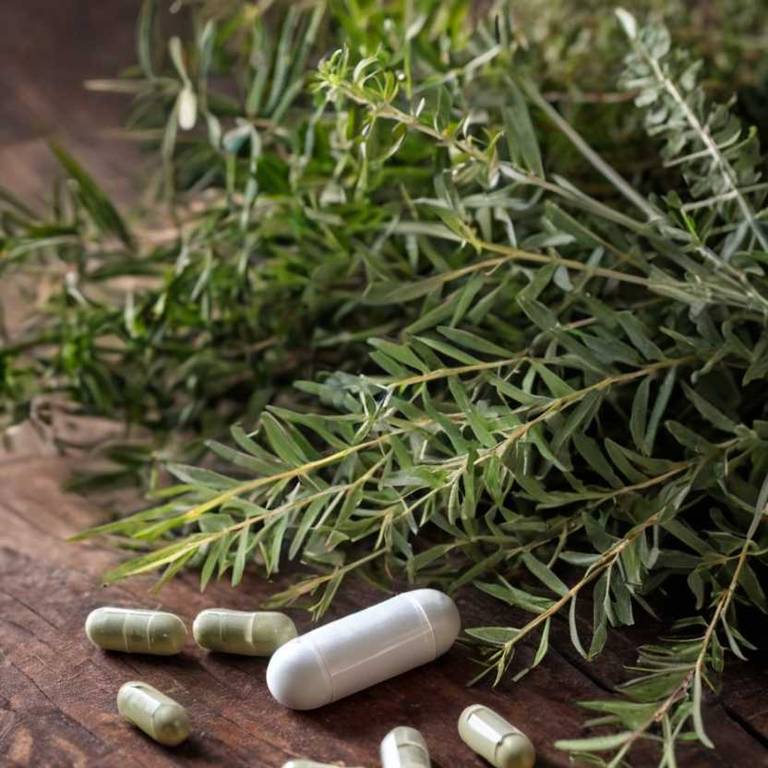 herbal capsules for bronchitis overview