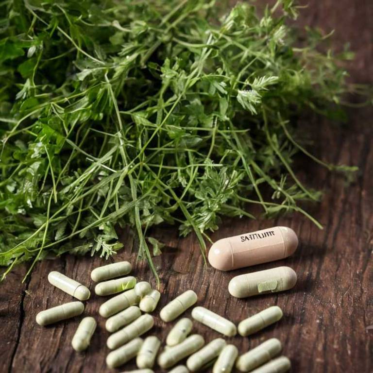 herbal capsules for burping Coriandrum sativum