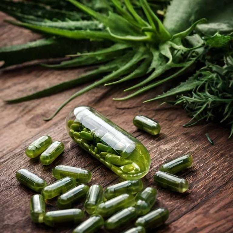 herbal capsules for cholecystitis Aloe vera