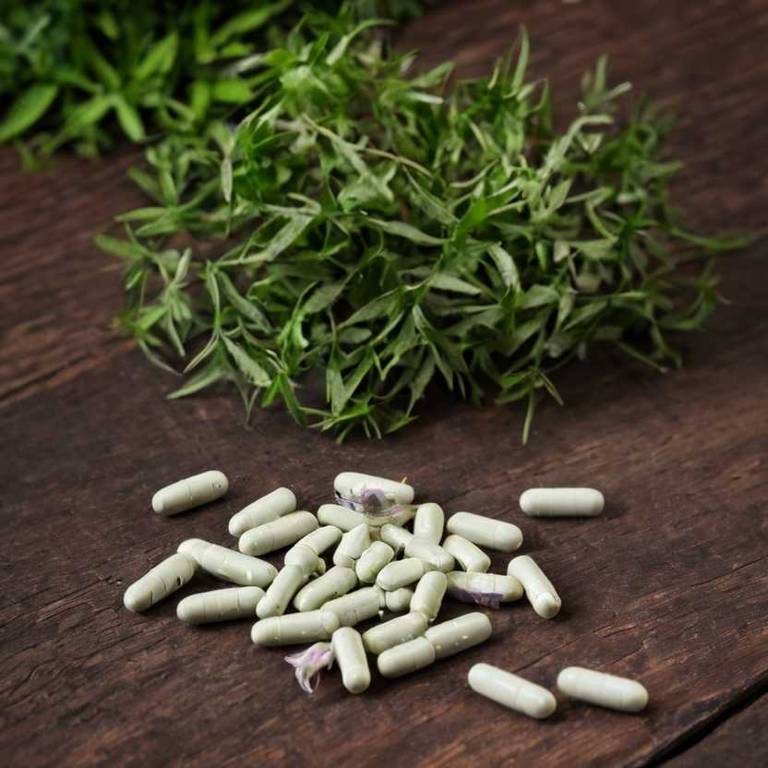 herbal capsules for cholecystitis overview