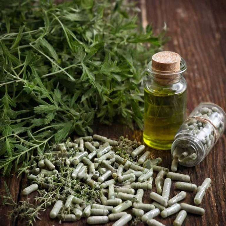 herbal capsules for cirrhosis Artemisia absinthium