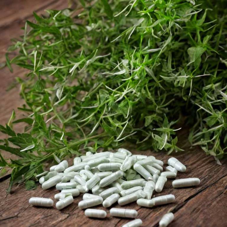 herbal capsules for colds Andrographis paniculata