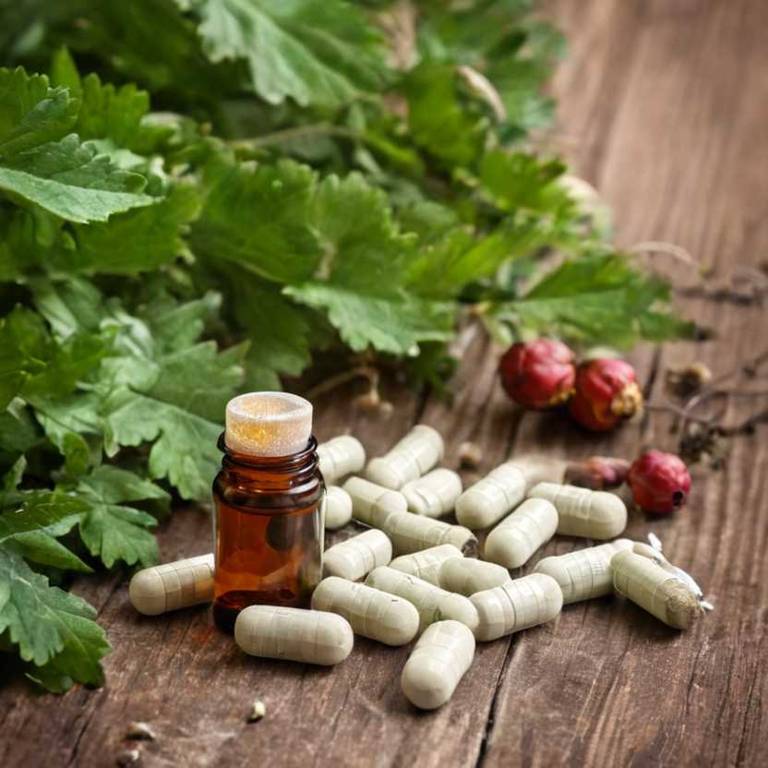 herbal capsules for congestive-heart-failure Crataegus monogyna