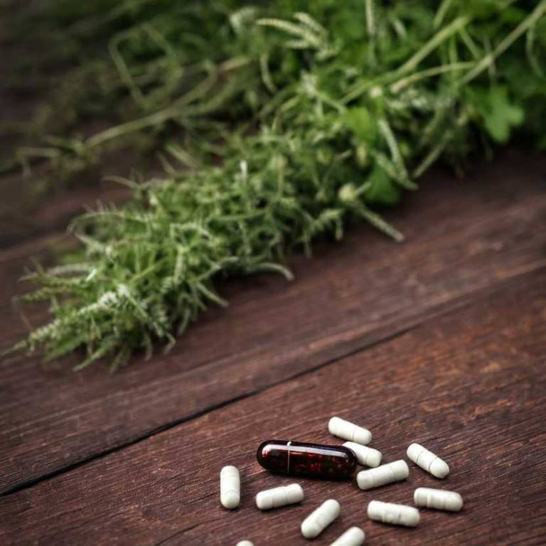 herbal capsules for constipation Sanguisorba minor