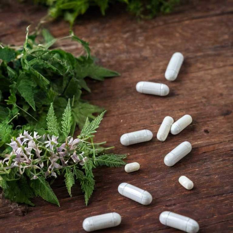 herbal capsules for cramps Actaea racemosa