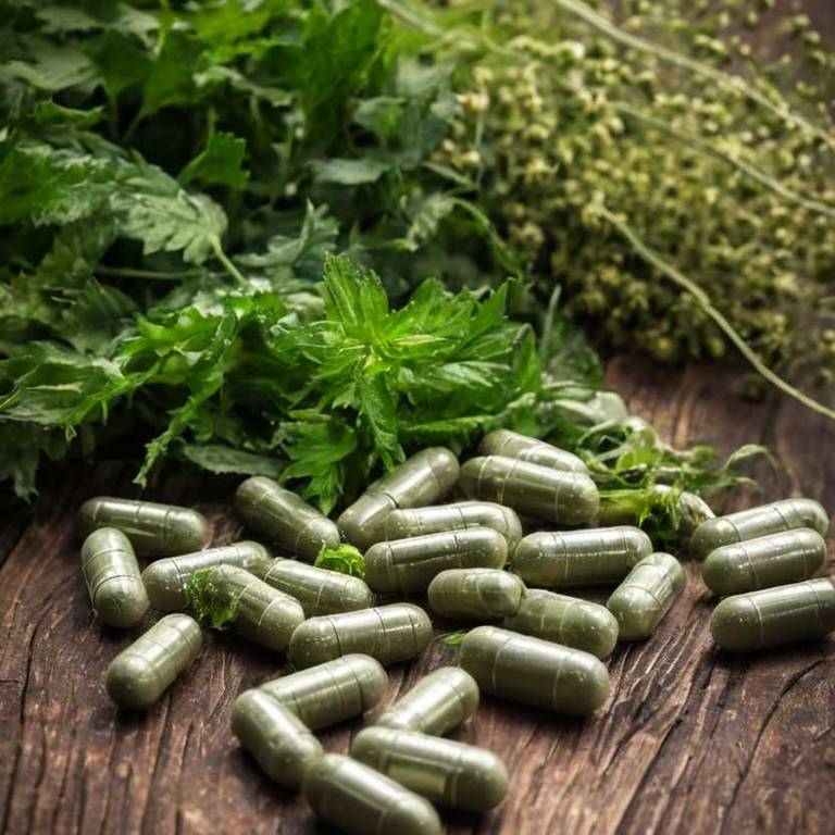 herbal capsules for dandruff Urtica dioica