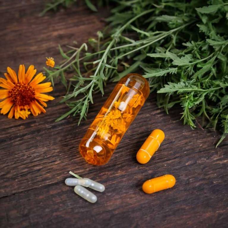 herbal capsules for dark-lips Calendula officinalis