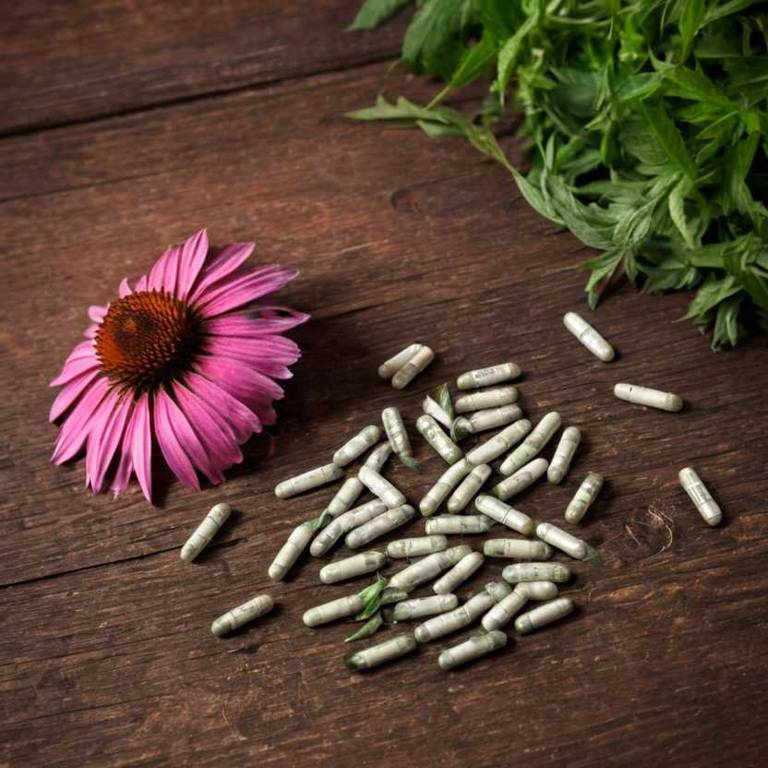 herbal capsules for dehydration Echinacea angustifolia