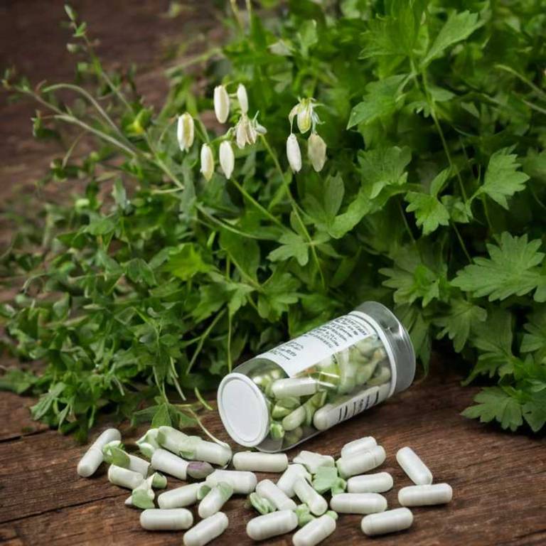 herbal capsules for depression overview