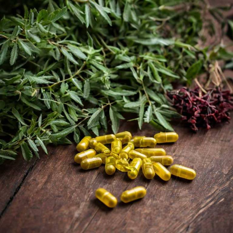 herbal capsules for diverticulitis Berberis vulgaris