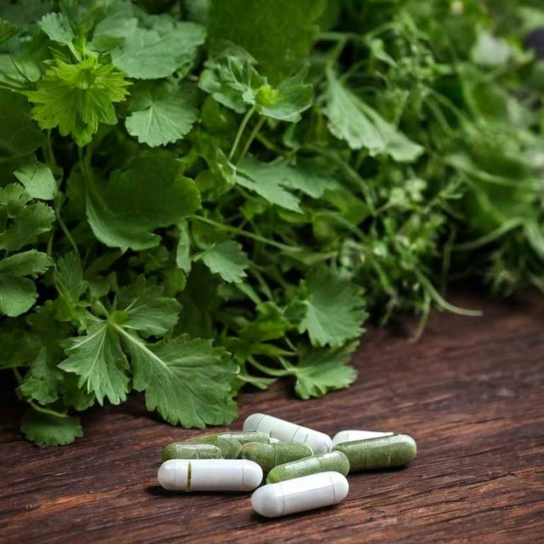 herbal capsules for dizziness Centella asiatica