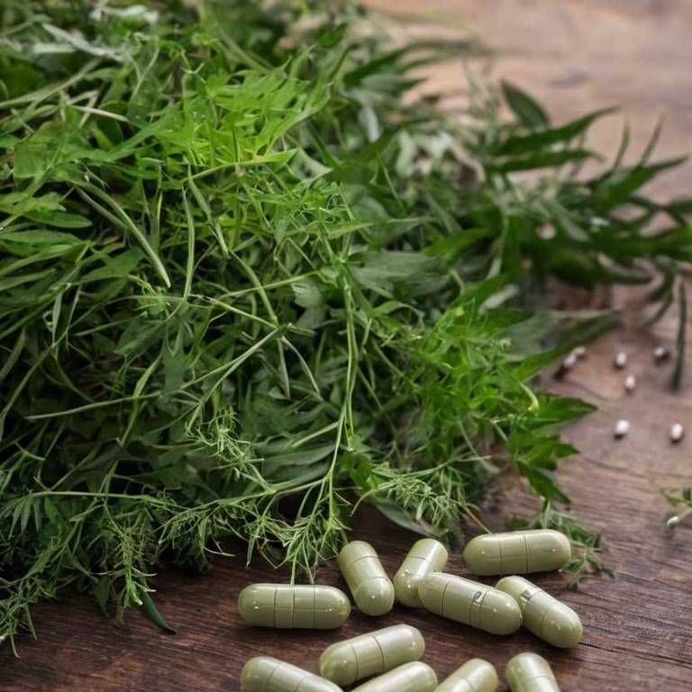 herbal capsules for dysuria Serenoa repens