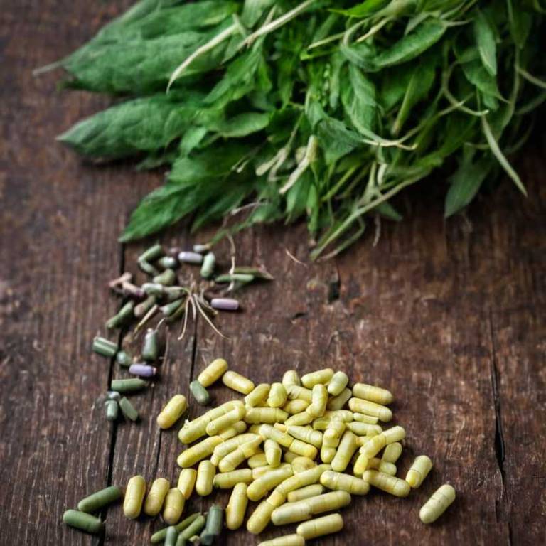 herbal capsules for dysuria Zea mays