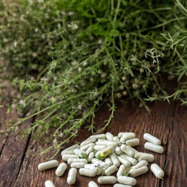 herbal capsules for earache overview