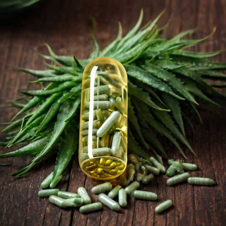 herbal capsules for eczema Aloe vera