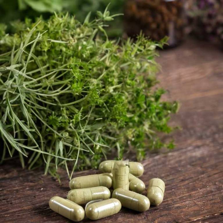 herbal capsules for endometriosis-pain overview