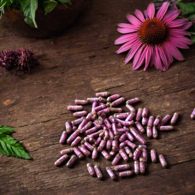 herbal capsules for eye-bags Echinacea purpurea