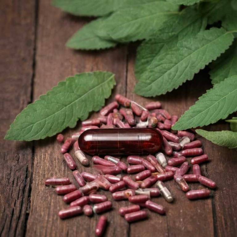 herbal capsules for eye-pain Ulmus rubra