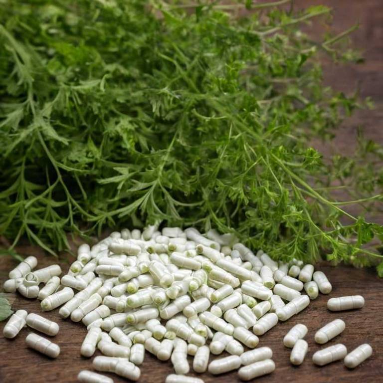 herbal capsules for fever Tanacetum parthenium