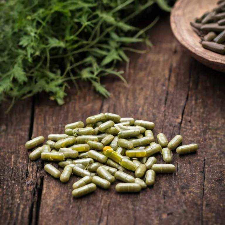 herbal capsules for gerd overview