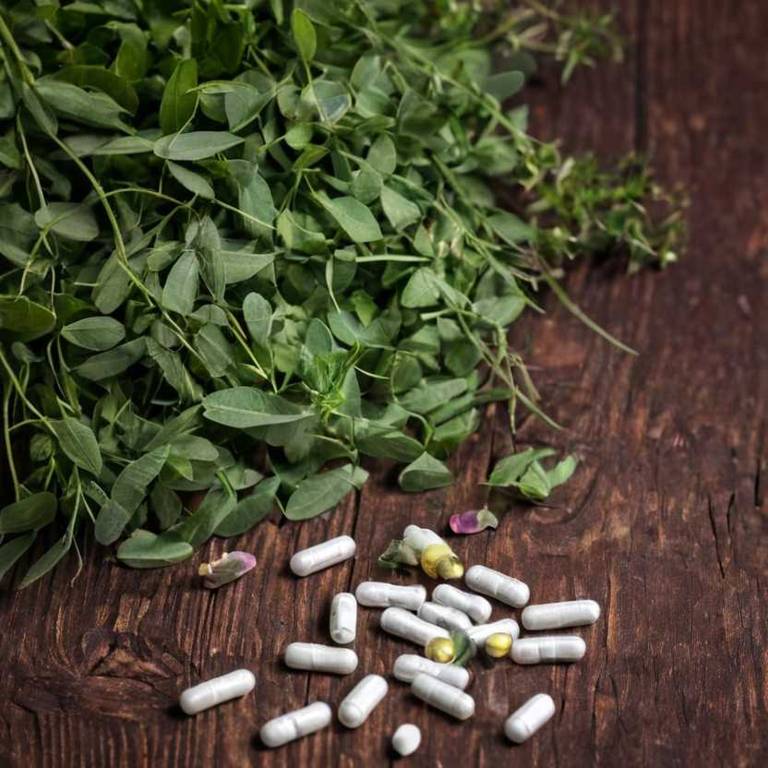 herbal capsules for high-blood-pressure Trifolium pratense