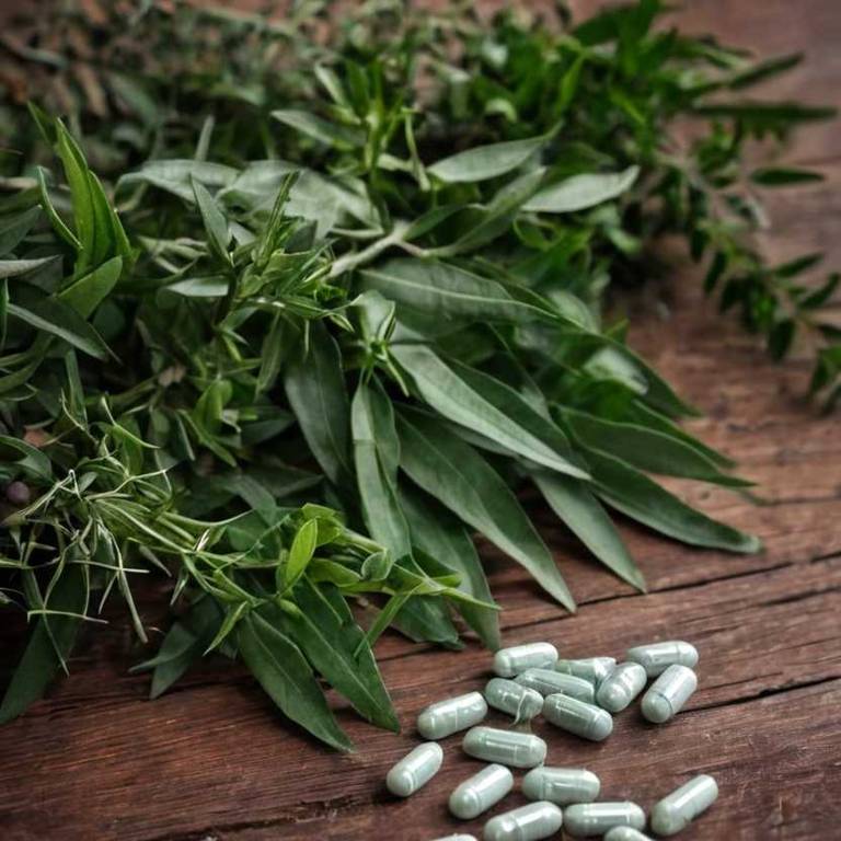 herbal capsules for hypertension Ruscus aculeatus