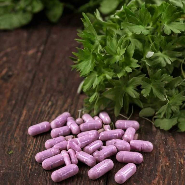 herbal capsules for infection overview