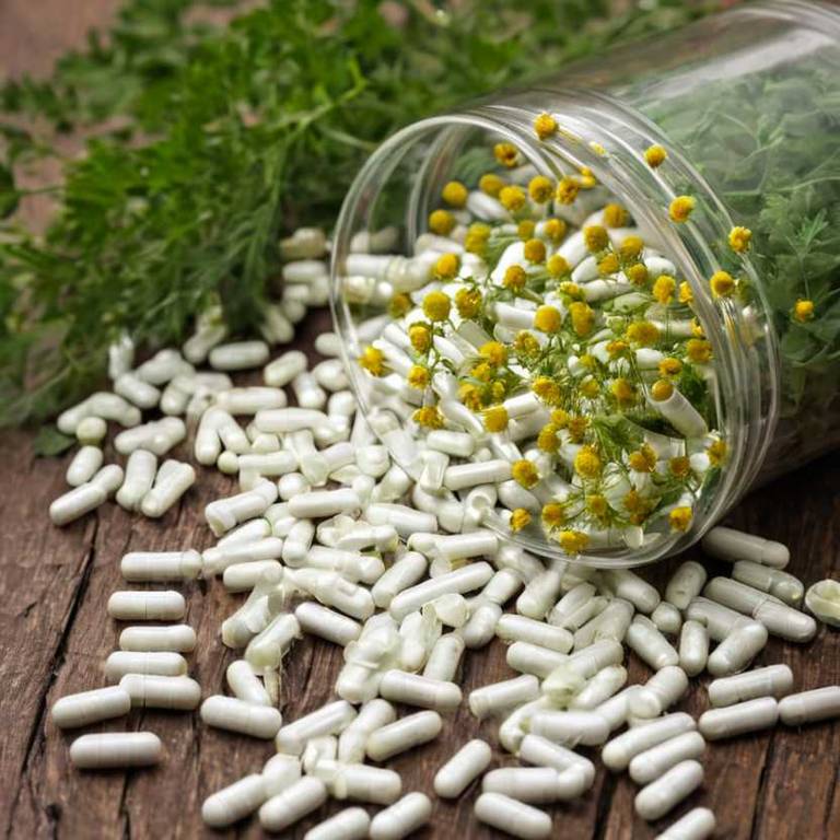 herbal capsules for insect-bites Tanacetum parthenium