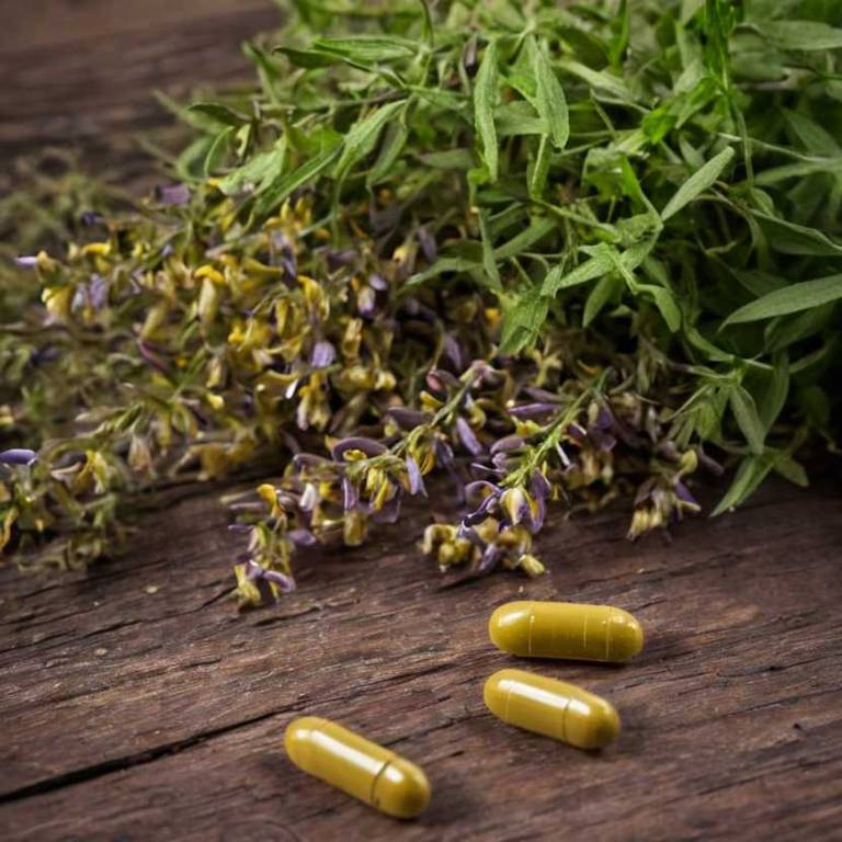 herbal capsules for jaw-lock Scutellaria baicalensis