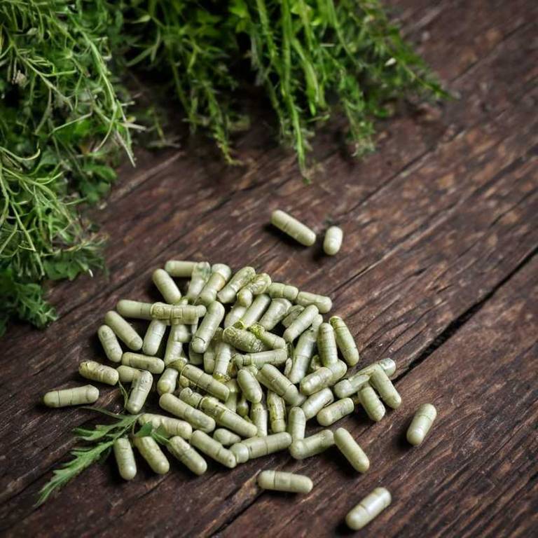 herbal capsules for low-sperm-count Lepidium meyenii