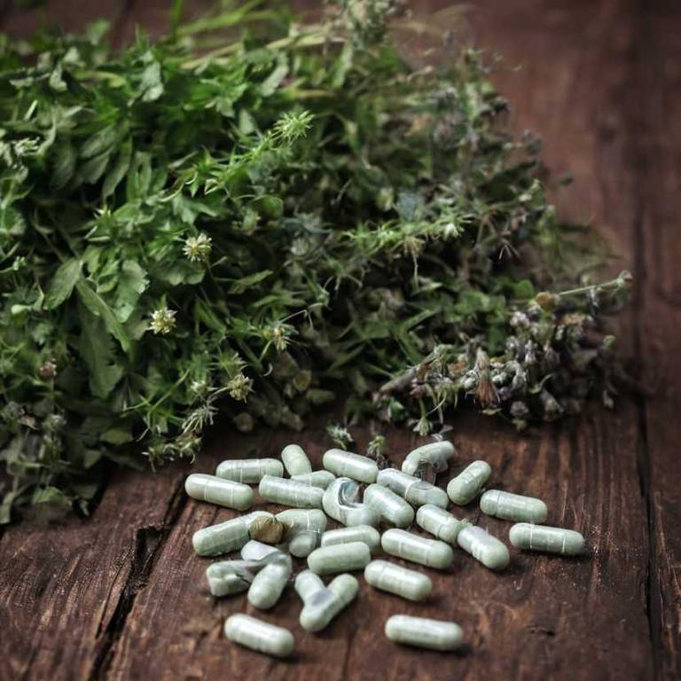 herbal capsules for lymph-node-swelling Arctium lappa